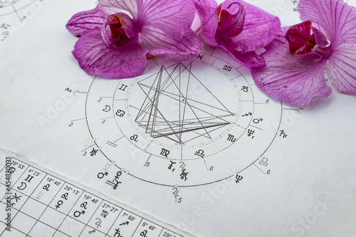 Printed natal chart with orchids in the background