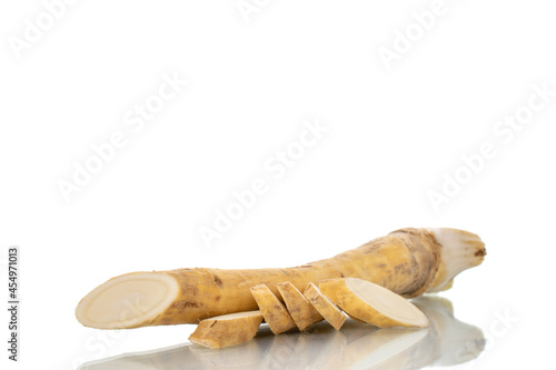 One whole spicy horseradish root and slices, close-up, isolated on white.