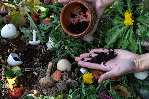 Woman hands keep coffee grounds above compost box outdoors full with garden browns and greens and food wastes, sustainable life, zero waste concept 