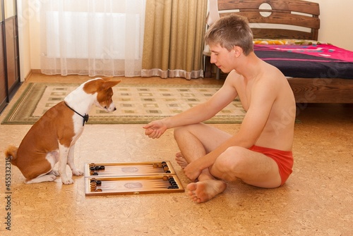 Basenji dog look carefully as young Caucasian man making move while playing backgammon in bedroom
