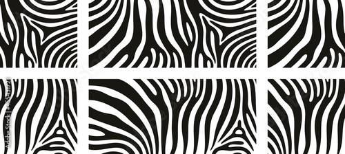 Zebra texture logo. Isolated zebra texture on white background