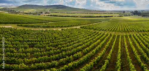 Tokaj wine region in Hungary aerial landscape