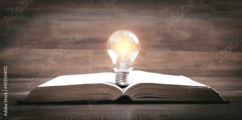 Light bulb and book. Knowledge and wisdom