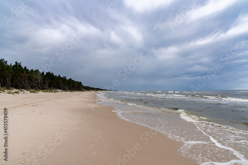 pristine empty sand beaches with forest and sand dunes on the shore