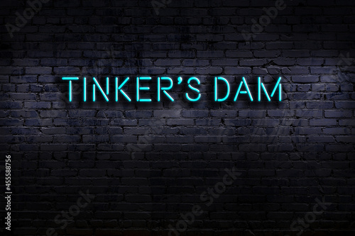 Neon sign. Word tinker's dam against brick wall. Night view