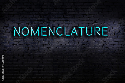 Night view of neon sign on brick wall with inscription nomenclature