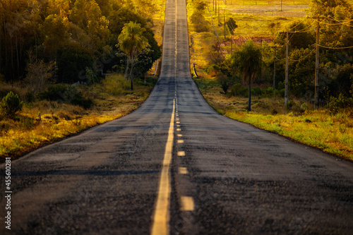 Peaceful road - Mato Grosso do Sul, Brazil