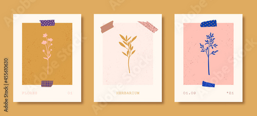 Set of Abstract Floral Posters in Contemporary Style. Vector Botanical Backgrounds in Pastel Colors. Wild Flowers
