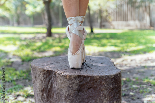 Close-up of the ballerina's feet on a log in the park.