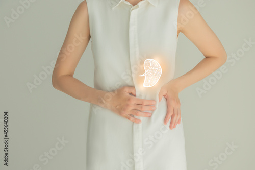 Woman in white clothes holding virtual spleen in hand. Handrawn human organ, detox and healthcare, healthcare hospital service concept stock photo