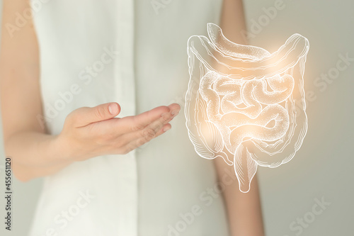 Woman in white clothes holding virtual intestine in hand. Handrawn human organ, detox and healthcare, healthcare hospital service concept stock photo