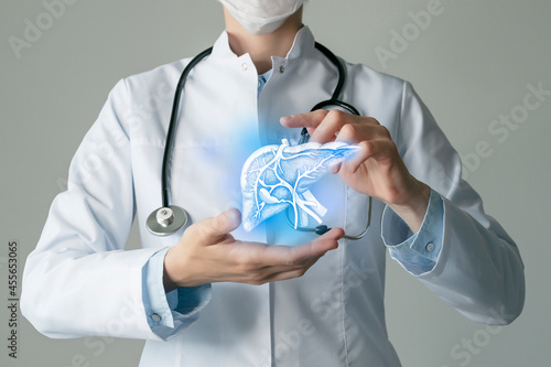 Hepatologist doctor, liver specialist. Aesthetic handdrawn highlighted illustration of human liver. Neutral grey background, studio photo and collage.