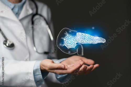 Gastroenterologist doctor, pancreas specialist. Aesthetic handdrawn highlighted illustration of human pancreas. Dark grey background, studio photo and collage.