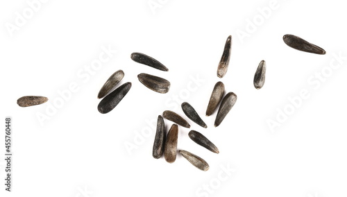 Macro bird niger seed (Guizotia abyssinica) isolated on white background
