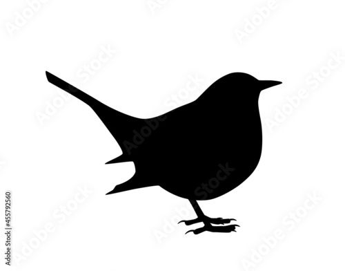 bird (blackbird) silhouette isolated on white background