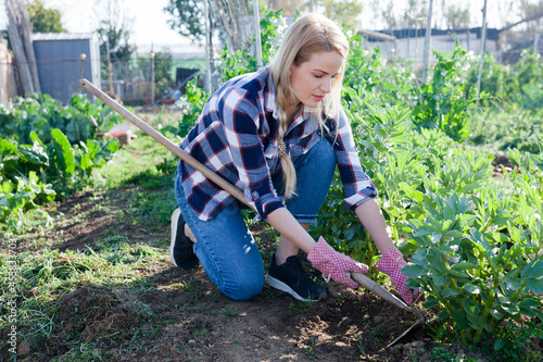 Young woman weeds with a hoe the garden bed. High quality photo