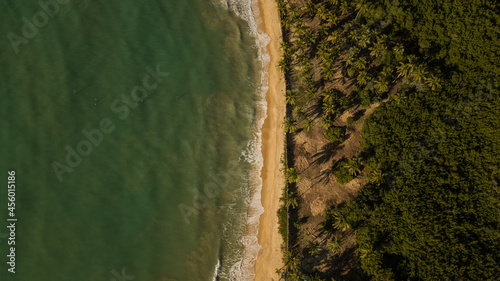 Aerial view of coconut beach in Trancoso in Bahia - Brazil