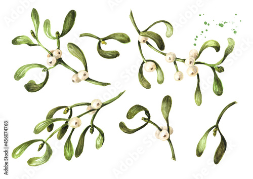 Mistletoe or Viscum branches with leaves and berries set. Watercolor hand drawn illustration, isolated on white background