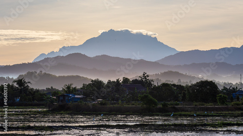 Beautiful Mount Kinabalu view with shadow of mountain view from paddy field