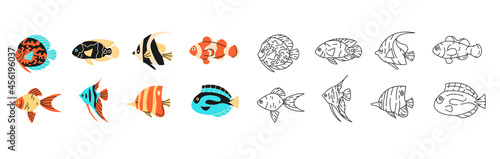 Tropical fishes simple elements collection. Oceanic wildlife flat isolated set. Different underwater fauna: goldfish, clownfish, angelfish in trendy flat design.