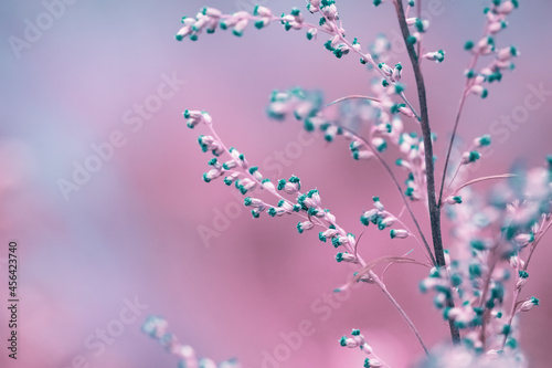 Beautiful spring little flowers abstract background, pink and blue color floral wallpaper 