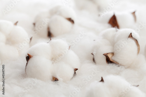 white cotton flowers on cotton fabric.