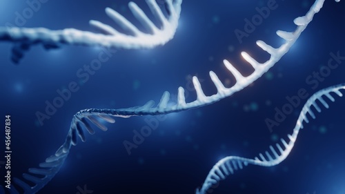 Single helix RNA, Epigenetics concept