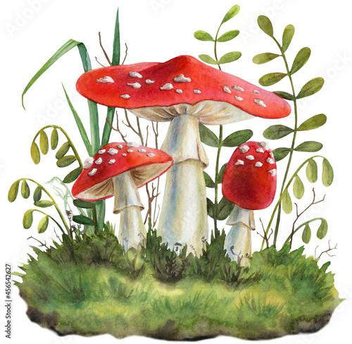 Watercolor illustration, flies in the woods, moss and grasses. Design element. 
