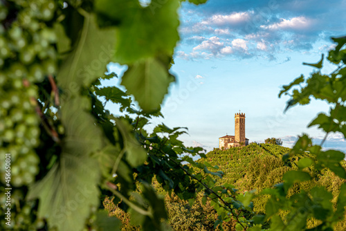 San Lorenzo's church in the Prosecco hills. Veneto - Italy