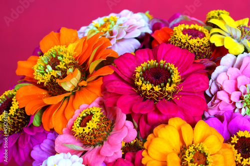 A bouquet of colorful zinnia flowers