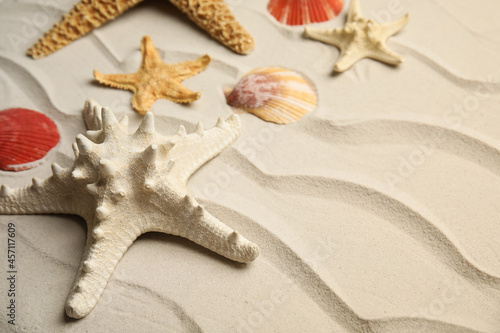 Beautiful sea stars and shells on sand, closeup