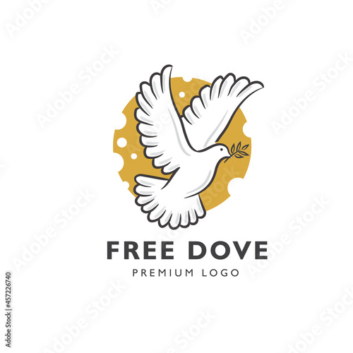 Abstract flying white dove vector