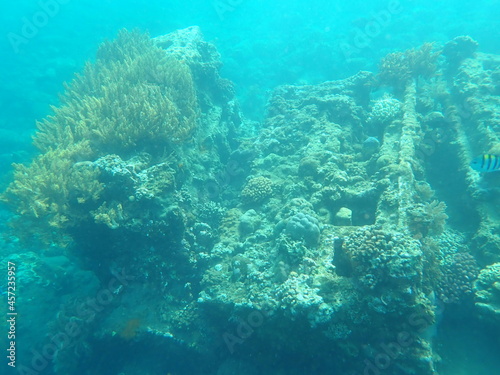 インドネシア バリ島 アメッドの沈没船