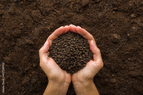 Young adult woman palms holding black granules of chicken manure on dark brown soil background. Product for root feeding of vegetables, flowers and plants. Closeup. Point of view shot. Top down view.