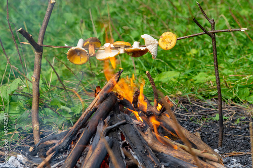 A man roasts freshly picked mushrooms on a stick over a fire in the forest. Concept: cooking in nature, poisoning with raw and inedible mushrooms, survival in extreme conditions.