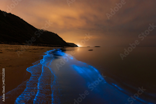 Bioluminescence Denmark