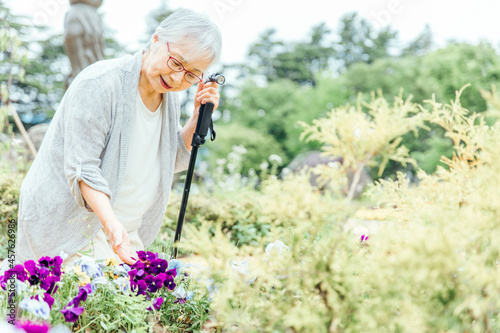 花畑にいる高齢者女性 