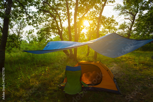 touristic tent under a tarp in forest at the sunset, summer camping scene