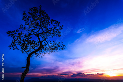 The small tree and a landscape of mountain ridges, sunset sky, and clouds. Location place Phu Kra Dung National park of Thailand. in vintage style