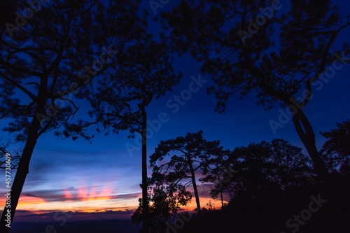 Panoramic twilight sky with silhoette trees at Phu Kra Dung National park of Thailand
