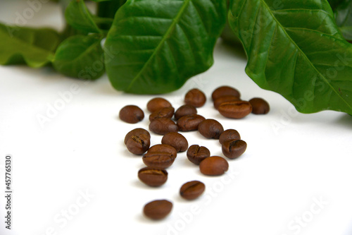 coffee beans, ziarna kawy 