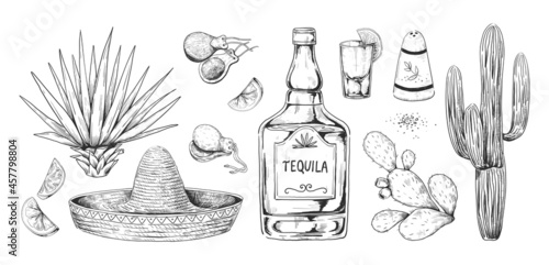 Tequila sketch. Hand drawn Mexican alcohol beverage made of agave with salt and lemon. Engraving alcoholic drink and cactuses. Sombrero and castanets. Vector drawings set for bar menu