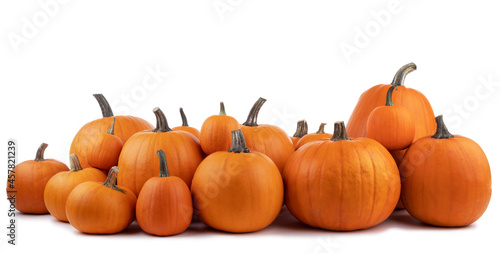 Many orange pumpkins on white