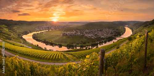 Circle of Light - Famous Moselle Loop at Trittenheim, Germany