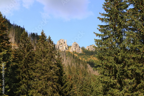 Widok na Mnichy Chochołowskie w polskich Tatrach Zachodnich. Polish mountains of the Western Tatras. (Dolina Chochołowska)
