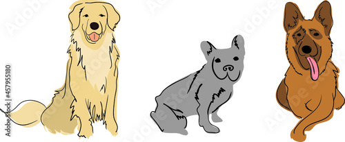 Golden retriever, French bulldog and German Shepherd cartoon dog isolated on white background. Dogs doodle vector set. 