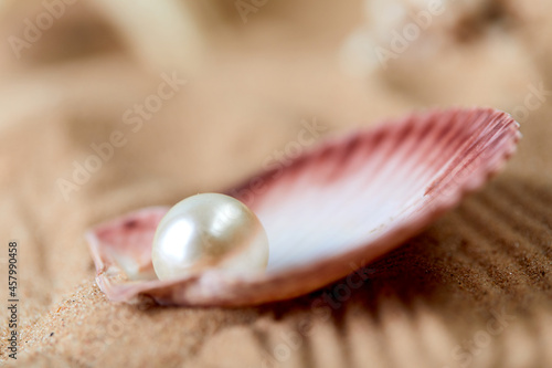 Opened and rare pearl placer on a blue sea background. Luxury and rich marine item.