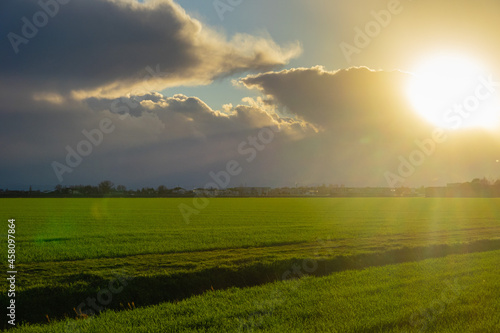 Scena con un campo di grano illuminato dal sole al tramonto a dicembre e con nuvole scure sparse sul cielo
