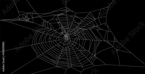 isolated old white spider web illustration