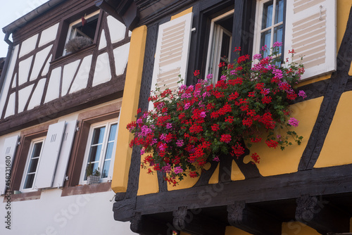 Closeup of red geraniums at he window of a medieval house facade